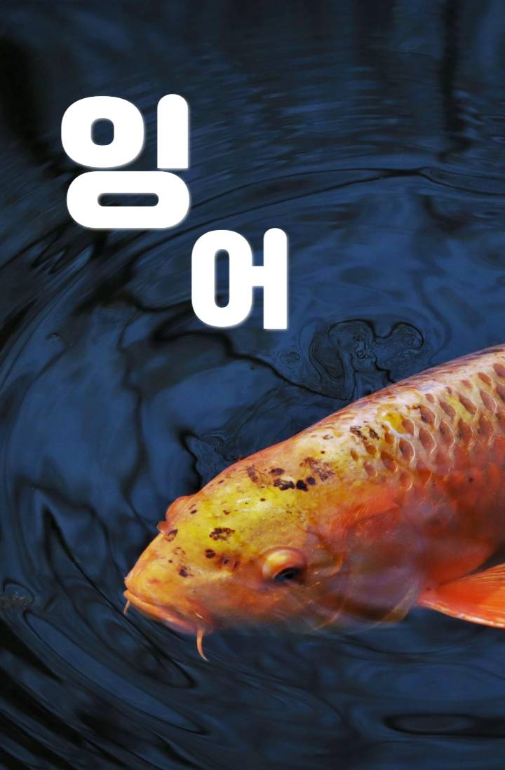 [괴담출근] 잉어