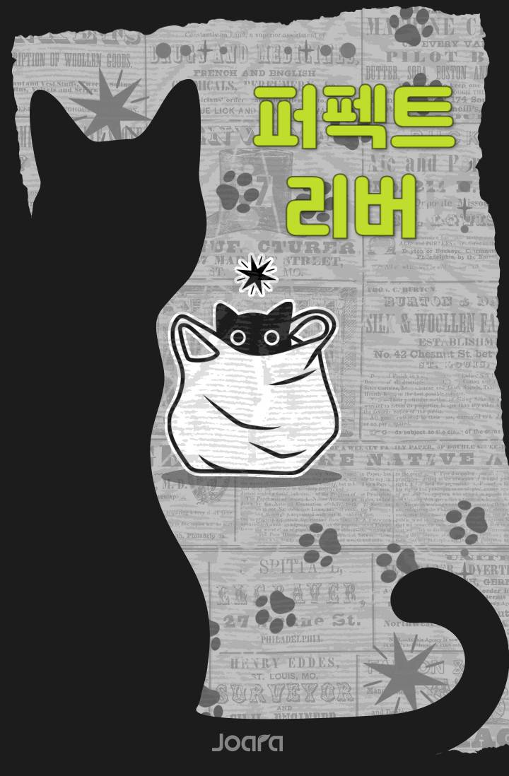 퍼펙트 리버