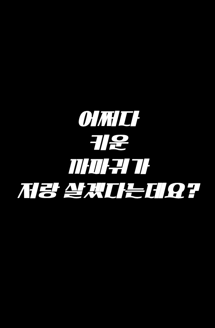 어쩌다 키운 까마귀가 저랑 살겠다는데요?