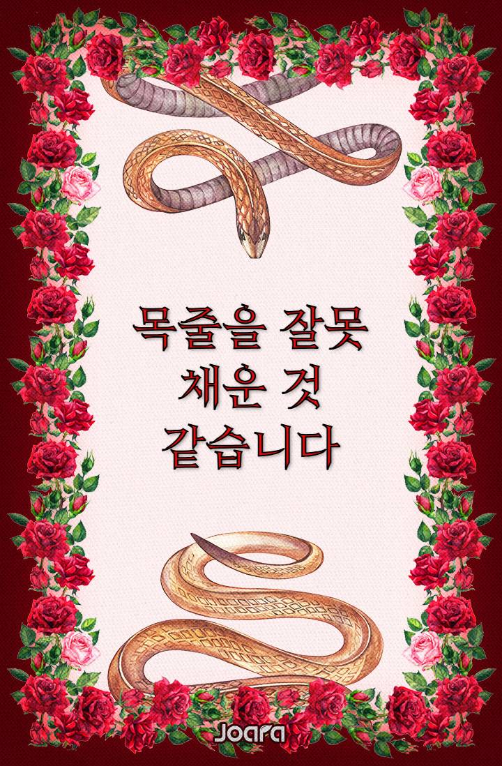 목줄을 잘못 채운 것 같습니다