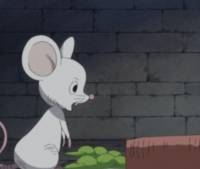 [원피스] 라따뚜이