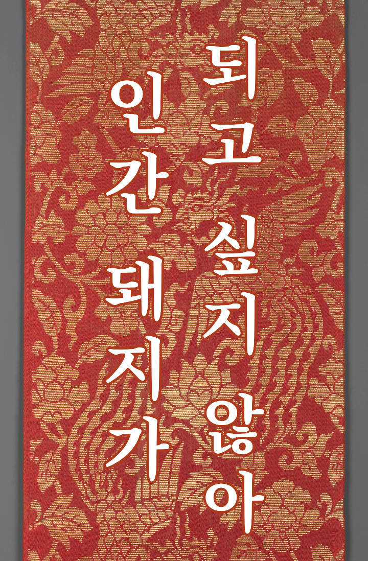 인간 돼지가 되고 싶지 않아