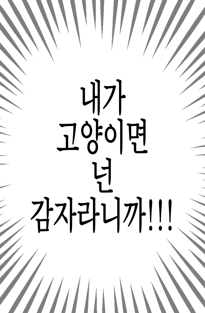 내가 고양이면 넌 감자라니까