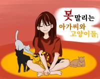 [하이큐] 못말리는 아가씨와 고양이들