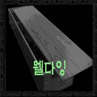 웰 다잉