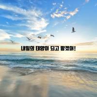 비비안느 방정식
