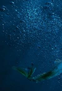 호우(heavy rain)