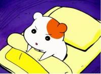[코난]소재 방