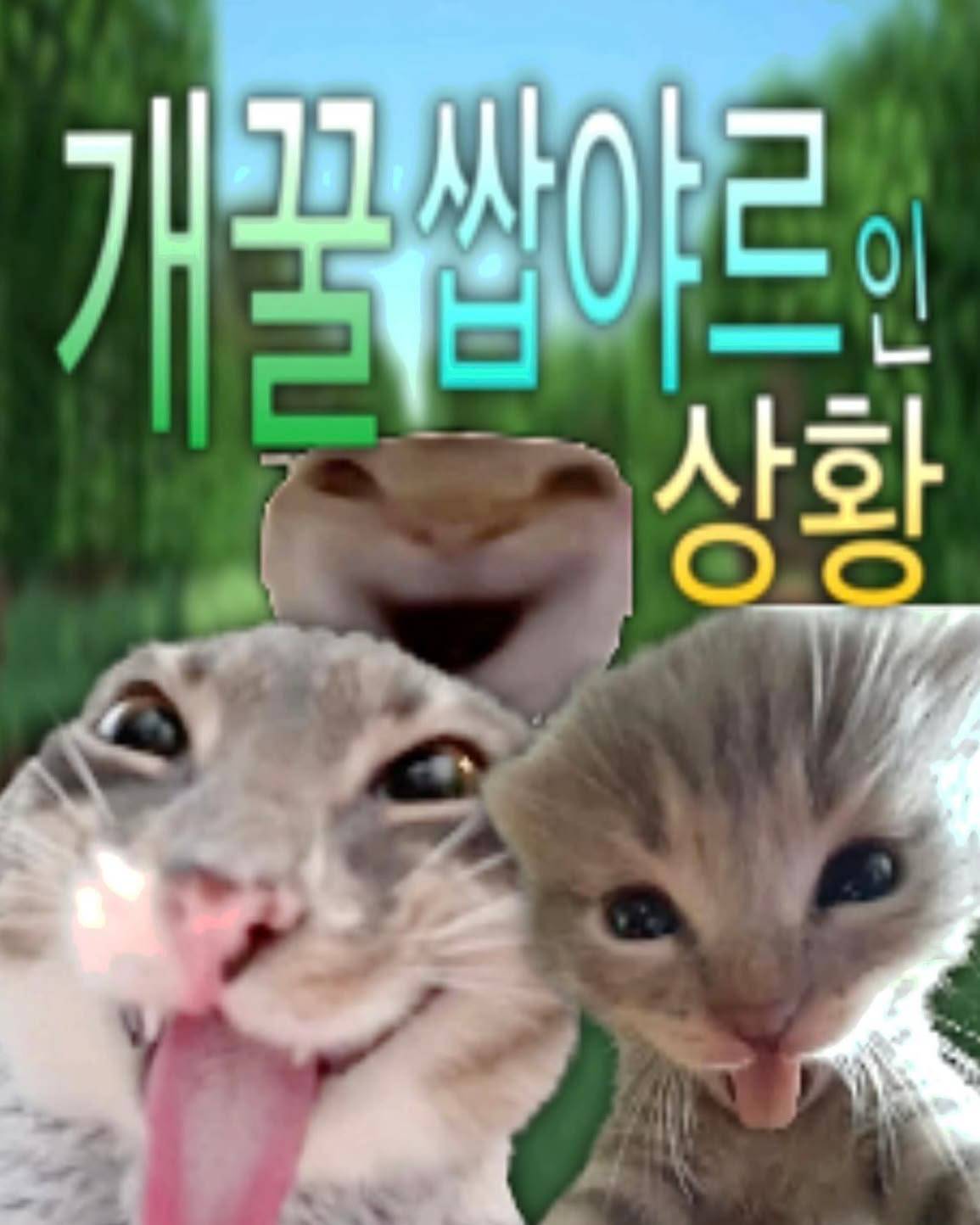 [괴담출근] 닉변은 항상 신중하게