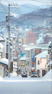 때 이른 첫 눈