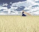 Wind Of Queen