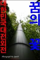 대한민국대전 외전 [꿈의 꽃]