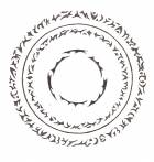 페이션트