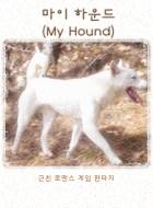 마이 하운드(My Hound)
