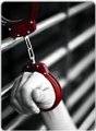 집착의 정의