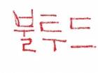 불투명드래곤