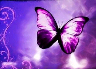 [리본]나비효과(Butterfly Effect)