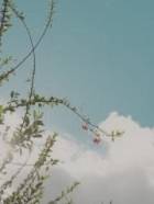 바람에 쓰는 편지(1完)