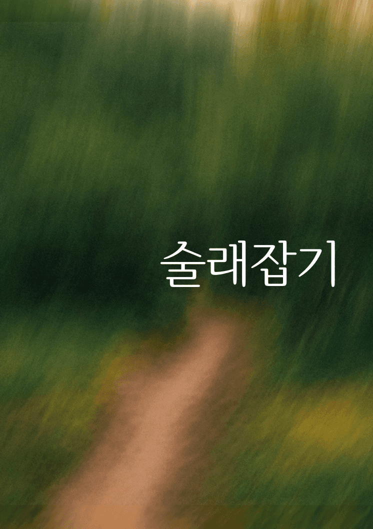 술래잡기