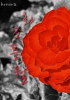 화조풍월(花鳥風月)