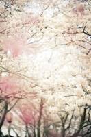 안녕하세요 수호천사님