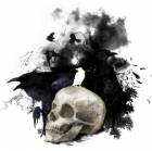 Thief Crow