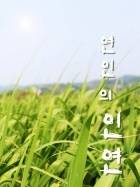 연인의 인연