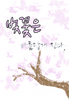 벚꽃은 아름답게 진다.