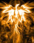 Phoenix knight