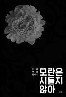모란은 시들지 않아