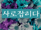 사로잡히다