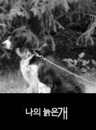 나의 늙은 개 [출간에 따른 삭제 공지]