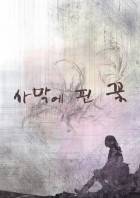 사막에 핀 꽃