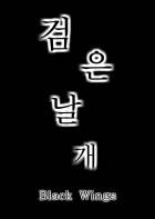 검은날개