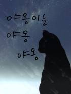 [원피스]야옹이는 야옹야옹