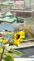 [은위] 보배에게