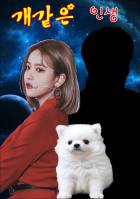 [레드벨벳] 개같은 인생