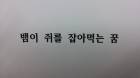 [나루토] 쥐 죽은 삶(완결)
