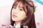 [아이즈원/윶민/GL]벚꽃 나무 아래서
