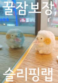 꿀잠보장*슬리핑랩
