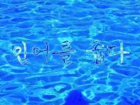 인어를 줍다