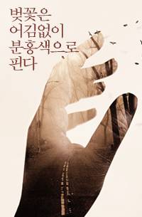 벚꽃은 어김없이 분홍색으로 핀다
