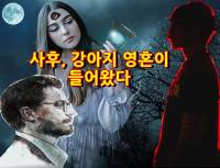사후 강아지 영혼이 들어왔다