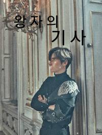 왕자의 기사