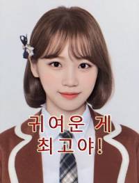 [아이즈원] 귀여운 게 최고야