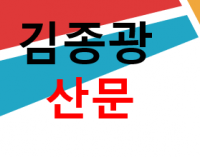 김종광 산문