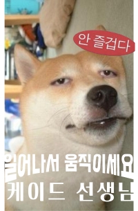 일어나서 움직이세요, 케이드 선생님