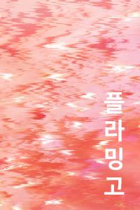 플라밍고