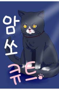 [FGO] 암 쏘 큐트 고양이