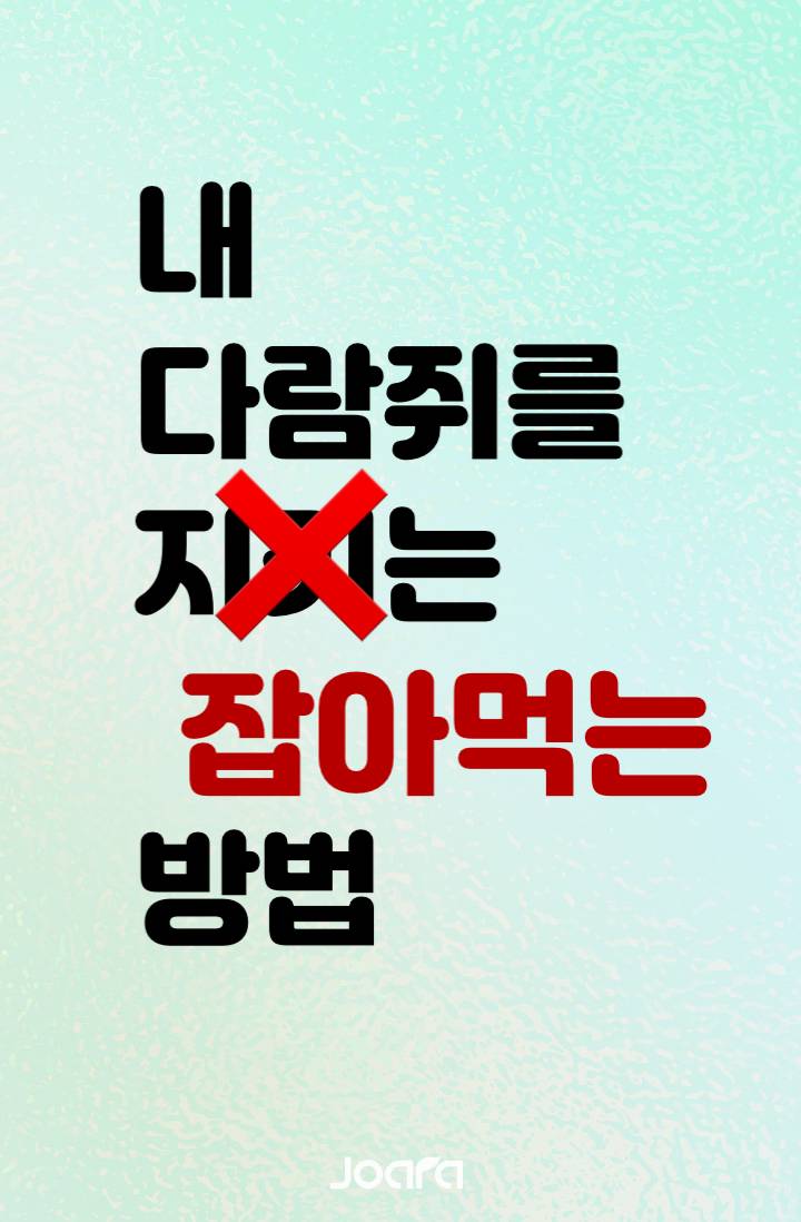 내 다람쥐를 지키는 (x) 잡아먹는 (o) 방법